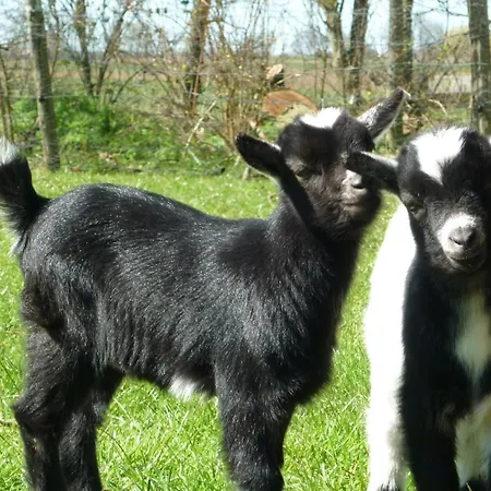 Lejlighed Gerdes An Der Nordsee Schillig