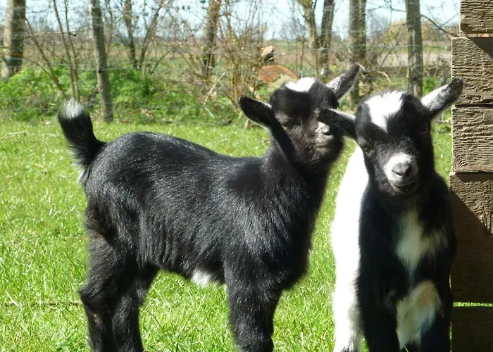 Lägenhet Gerdes An Der Nordsee Schillig